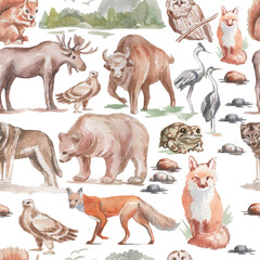 Animals forest bear wolf fox owl birds elk bison trees oak pine spruce mushrooms fauna flora plants watercolor illustration hand drawn set large on white background nature wild Europe Asia