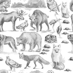 Animals forest bear wolf fox owl birds elk bison trees oak pine spruce mushrooms fauna flora plants watercolor illustration hand drawn set large on white background nature wild Europe Asia