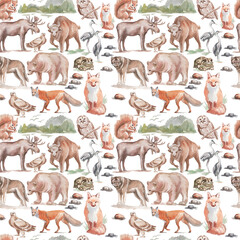Animals forest bear wolf fox owl birds elk bison trees oak pine spruce mushrooms fauna flora plants watercolor illustration hand drawn set large on white background nature wild Europe Asia