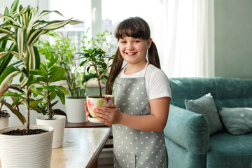Gardener child cares for plants at home. Indoor potted fresh plants on the table in the sunlight from window. She holds potted plants.