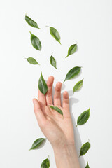 Concept of summertime, leaves, summer and nature concept
