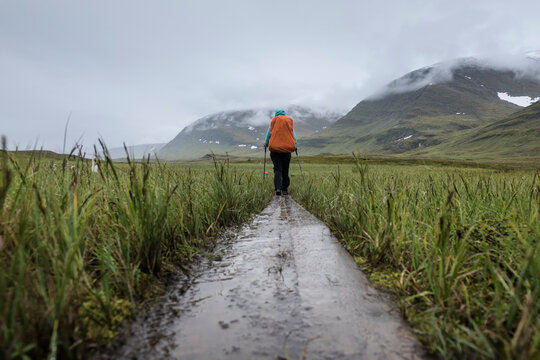 Hiker hiking in rain through grass in Tj&Atilde;&curren;ktjavagge near S&Atilde;&curren;lka hut, Kungsleden trail, Lapland, Sweden