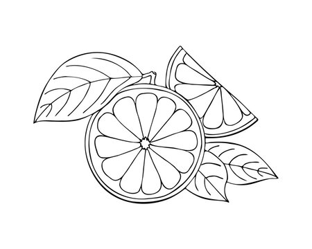 recommend clip art: Orange line drawing doodle isolated on white background. Sketch. Vector illustration