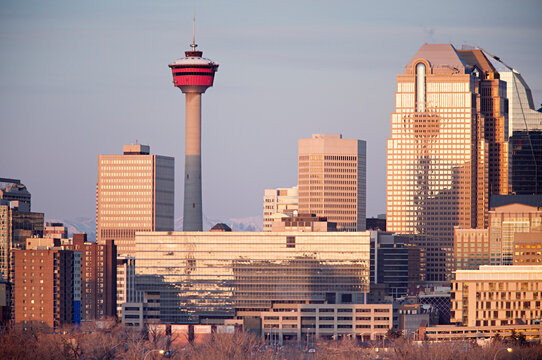 Large city buildings with morning light.