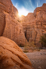 Exploring the beautiful Ladder Canyon Trail in Mecca, California