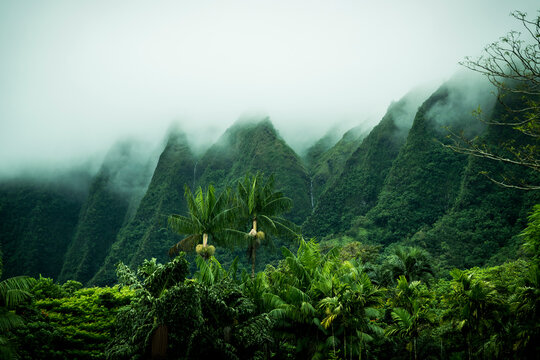 Tropical scenery, Kaneohe, Oahu, Hawaii Islands, USA