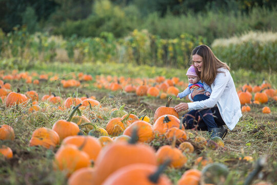 Mother and baby picking pumpkins in pumpkin patch, Parkdale, Oregon, USA
