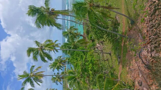 Los Coquitos beach, Cabrera in Dominican Republic. Aerial backward and vertical format