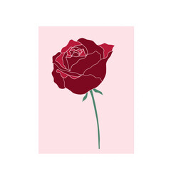 Post stamp of red rose 