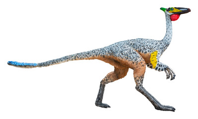 Pelecanimimus is a carnivore genus of basal (primitive) ornithomimosaurian dinosaur from the Early Cretaceous, Pelecanimimus with transparent background