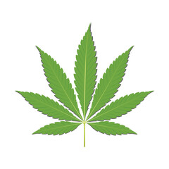 Vector illustration of cannabis leaf. Marijuana leaf cigarette icon, isolated white background.