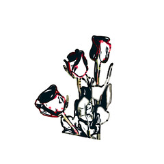 color sketch of a rose with transparent background