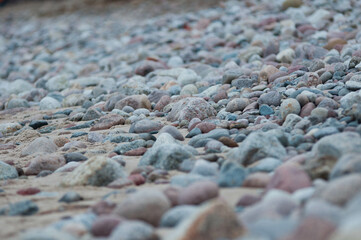 Baltic Sea, winter baltic sea, sea in poland,  waves, storm, seagulls, poland, seagull,