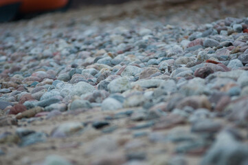 Baltic Sea, winter baltic sea, sea in poland,  waves, storm, seagulls, poland, seagull,