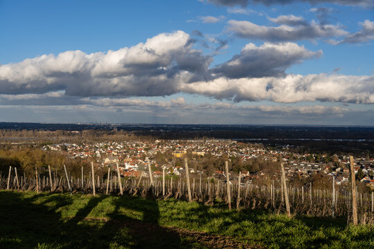 Rheinterrassenweg Blick auf Mainz-Laubenheim