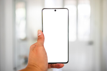 hand holding smartphone with copy space in front of stylish entry door and foyer home interior background, shot at shallow depth of field