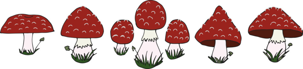 Fly agaric mushrooms. Set. Poison mushrooms. Vector illustration, doodle. Isolated background.