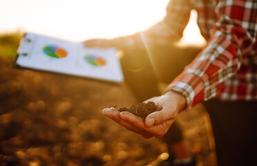 Checking the soil. An experienced farmer checks the soil before sowing. Agribusiness. Sowing crops.