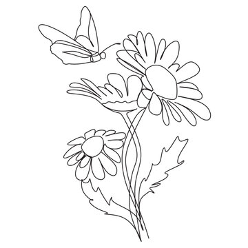 Chamomile flowers and butterflies one line art. Flowers one line vector art. Botanical print.