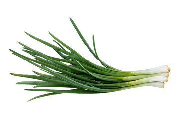 Naklejka na ściany i meble Young green onion isolated on white background with clipping path. Full Depth of field. Focus stacking. PNG 