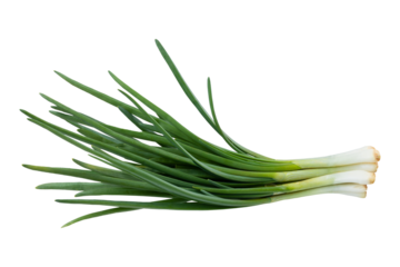 Young green onion isolated on white background with clipping path. Full Depth of field. Focus stacking. PNG	