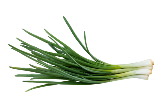 Young green onion isolated on white background with clipping path. Full Depth of field. Focus stacking. PNG	