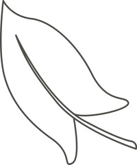 Leaf of tropical plant line art design element