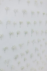 Flower pattern on the white wall