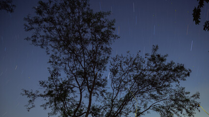 Strar Trail Over trees