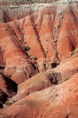 Red Mounds at Petrified Forest National Park