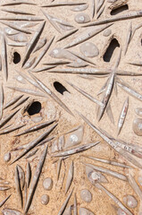 Fish and shellfish fossils recovered from Morocco's Atlas Mountains show that the desert was a sea