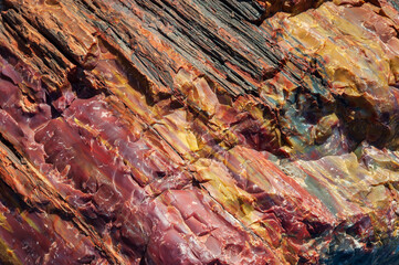 Colorful Petrified Log at Petrified Forest National Park