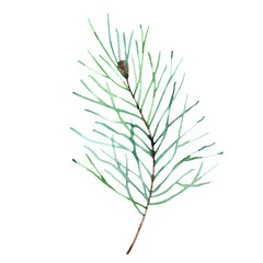 watercolor pine leaves