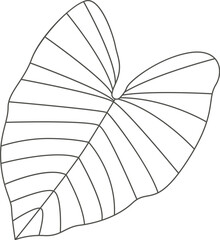 Monstera leaf of tropical plant line art design element
