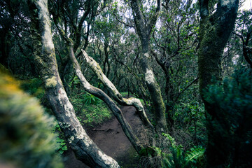 Teno-Gebirge, El Palmar, Masca, Teneriffa