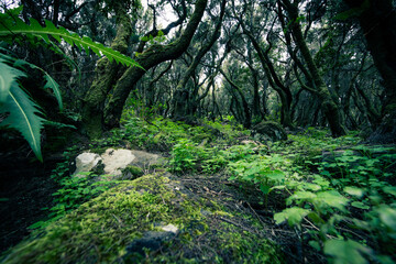 Teno-Gebirge, El Palmar, Masca, Teneriffa