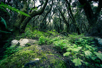 Teno-Gebirge, El Palmar, Masca, Teneriffa