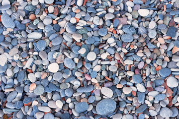Multi-colored and various in form sea pebbles (natural stone background)