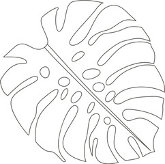 Monstera leaf of tropical plant line art design element