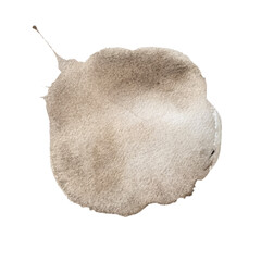 Abstract watercolor circle