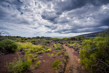 Malpaís de Güímar, Candelaria, Teneriffa