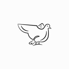 simple line art pigeon logo vector design template isolated on white background