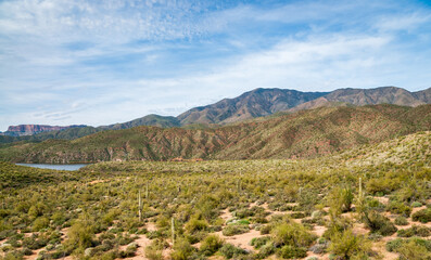 Fototapeta na wymiar Rugged Landscape of the Apache Trail