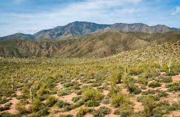 Fototapeta na wymiar Arid Desert Landscape of the Apache Trail