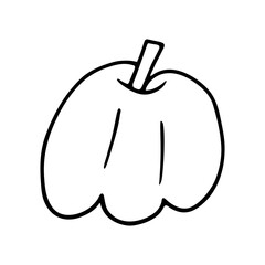 Pumpkin doodle, Halloween decoration. Hand-drawn gourd, vegetarian food, proper nutrition, healthy diet. Sketch, minimalism, line art. Isolated. Vector illustration