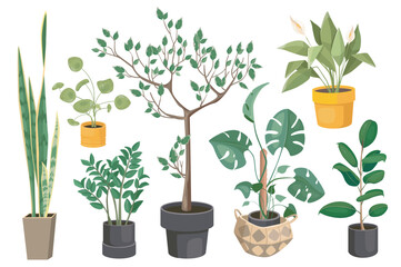 Houseplants set graphic elements in flat design. Bundle of potted plants, monstera, ficus, callas and other different types of plant and home trees on pots. Vector illustration isolated objects