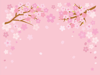 ピンクの桜の背景イラスト