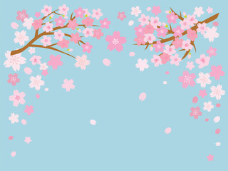 ピンクの桜と青空の背景イラスト