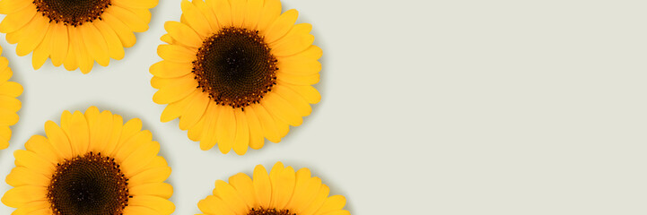 Banner with sunflowers on a blue background.