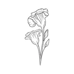 Beautiful realistic opened Eustoma flower branch with bud and leaves isolated on white background. Hand drawn vector sketch illustration in doodle engraved outline line art style. Floristics.